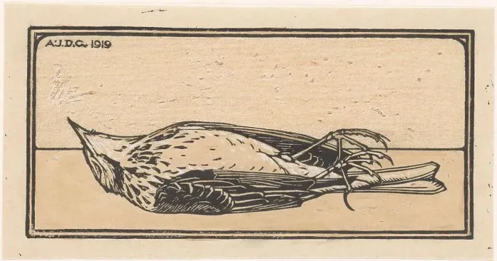 Framed Print : Dead bird, 1919. Creator: Julie de Graag Framed Print : Dead bird, 1919. Creator: Julie de Graag