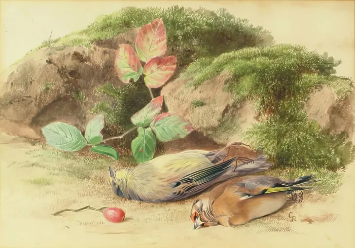 Framed Print : Dead Birds, 1875-1899. Creator: George Reid Framed Print : Dead Birds, 1875-1899. Creator: George Reid