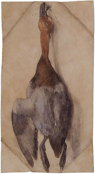 Dead Duck, ca 1502 (or ca 1512). Creator: Dürer, Albrecht (1471-1528)