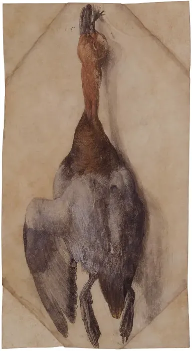 Framed Print : Dead Duck, ca 1502 (or ca 1512). Creator: Dürer, Albrecht (1471-1528) Framed Print : Dead Duck, ca 1502 (or ca 1512). Creator: Dürer, Albrecht (1471-1528)