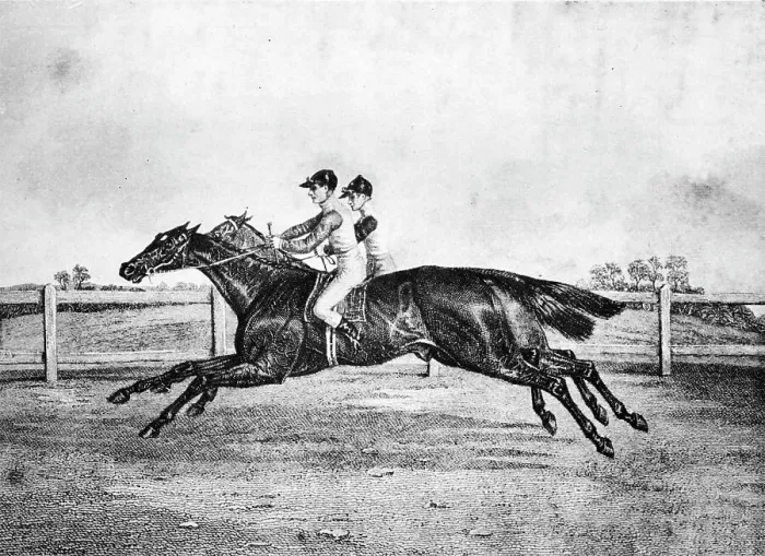 Framed Print : Dead-Heat between Lanercost and Beeswing, 1835-1850, (1911) Framed Print : Dead-Heat between Lanercost and Beeswing, 1835-1850, (1911)