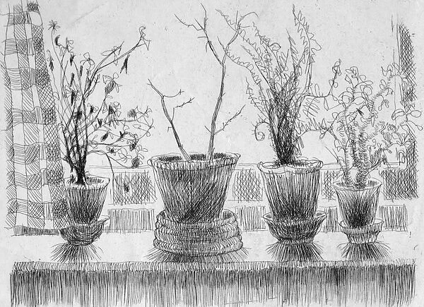 Dead plants on a windowsill, 1952. Creator: Shirley Markham