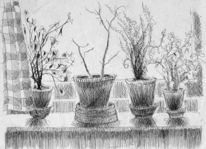 Framed Print : Dead plants on a windowsill, 1952. Creator: Shirley Markham Framed Print : Dead plants on a windowsill, 1952. Creator: Shirley Markham