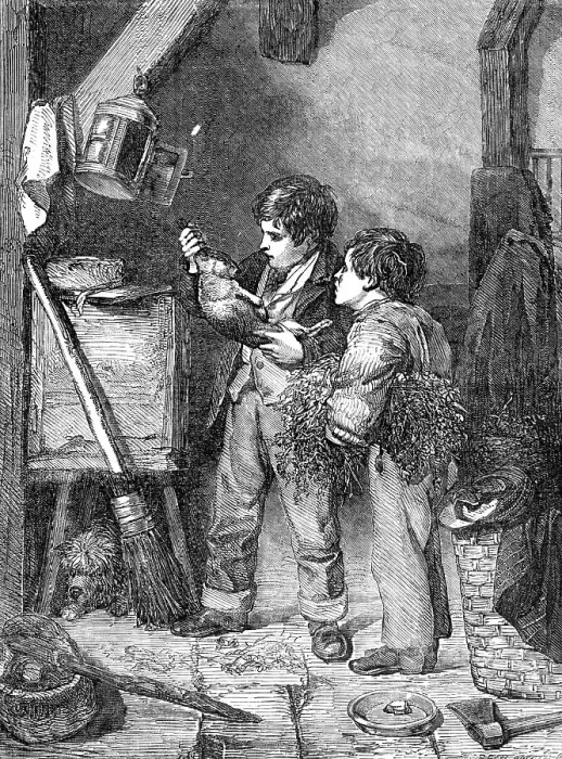 Framed Print : The Dead Rabbit - painted by J. Clark - from the Exhibition of the British Institution, 1857. Creator: Harvey Orrin Smith. The Dead Rabbit - painted by J. Clark - from the Exhibition of the British Institution, 1857 Framed Print : The Dead Rabbit - painted by J. Clark - from the Exhibition of the British Institution, 1857. Creator: Harvey Orrin Smith. The Dead Rabbit - painted by J. Clark - from the Exhibition of the British Institution, 1857