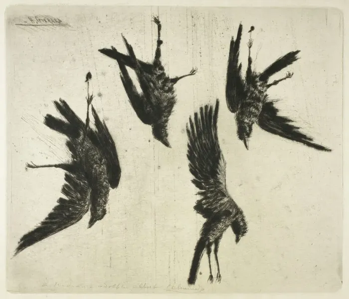 Framed Print : The Four Dead Ravens, c. 1888. Creator: Henri-Charles Guerard