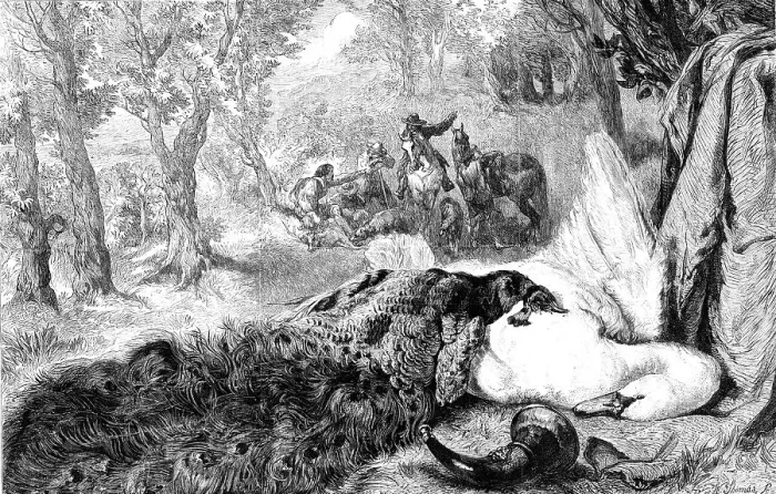 Framed Print : Dead Swan and Peacock, by the late W. Duffield, 1864. Creator: W Thomas. Dead Swan and Peacock, by the late W. Duffield, 1864. Creator: W Thomas Framed Print : Dead Swan and Peacock, by the late W. Duffield, 1864. Creator: W Thomas. Dead Swan and Peacock, by the late W. Duffield, 1864. Creator: W Thomas