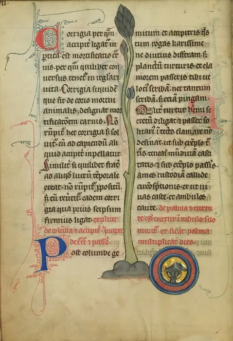 Framed Print : A Dead Turtle Dove in a Nest; De Natura Avium; De Pastoribus et Ovibus, 1277 or after. Creator: Unknown