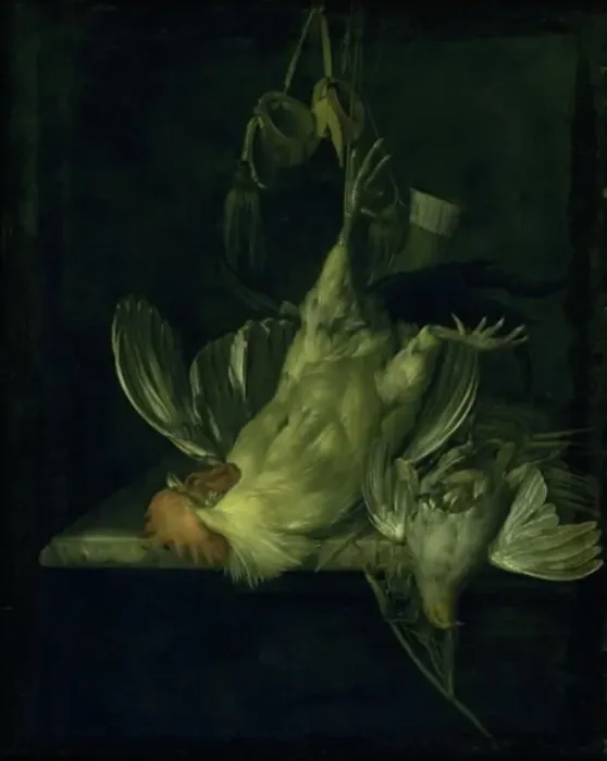 Framed Print : A Dead White Cock, 1642-1683. Creator: Willem van Aelst Framed Print : A Dead White Cock, 1642-1683. Creator: Willem van Aelst