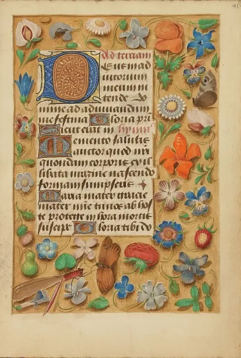 Framed Print : Decorated Initial D; Crohin-La Fontaine Hours, (about 1480-1485?). Creator: Unknown Framed Print : Decorated Initial D; Crohin-La Fontaine Hours, (about 1480-1485?). Creator: Unknown