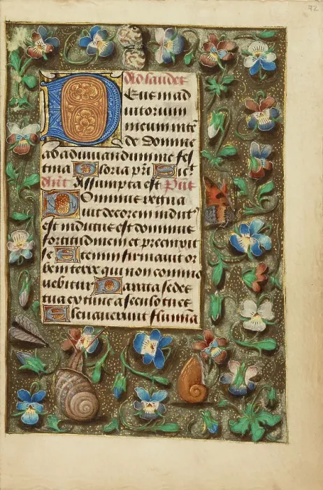 Framed Print : Decorated Initial D; Crohin-La Fontaine Hours, about 1480-1485 ?. Creator: Master of the Dresden Prayer Book Framed Print : Decorated Initial D; Crohin-La Fontaine Hours, about 1480-1485 ?. Creator: Master of the Dresden Prayer Book