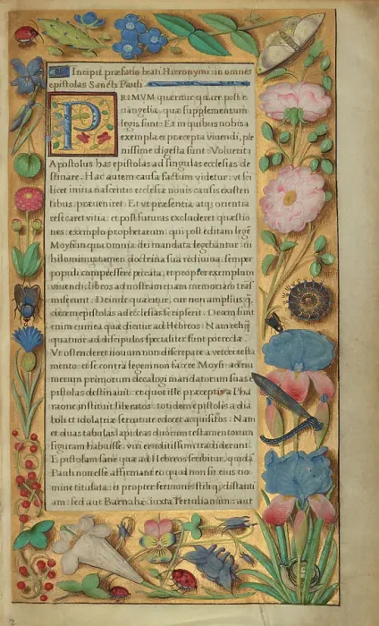 Framed Print : Decorated Text Page; Getty Epistles, about 1528-1530. Creator: Master of the Getty Epistles Framed Print : Decorated Text Page; Getty Epistles, about 1528-1530. Creator: Master of the Getty Epistles