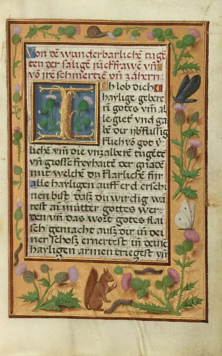 Framed Print : Decorated Text Page; Prayer Book of Cardinal Albrecht of Brandenburg, about 1525-1530. Creator: Unknown Framed Print : Decorated Text Page; Prayer Book of Cardinal Albrecht of Brandenburg, about 1525-1530. Creator: Unknown