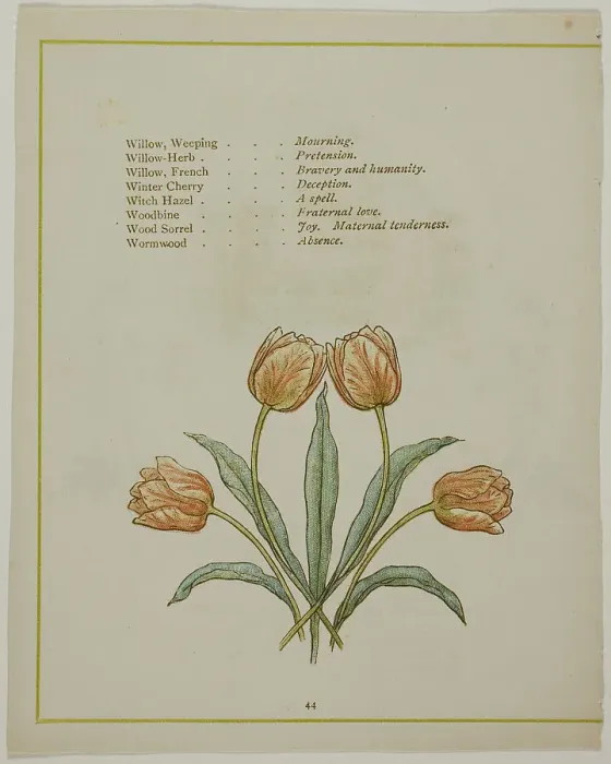Framed Print : Decorative Illustration, from The Illuminated Language of Flowers, published 1884. Creators: Edmund Evans, Catherine Greenaway Framed Print : Decorative Illustration, from The Illuminated Language of Flowers, published 1884. Creators: Edmund Evans, Catherine Greenaway
