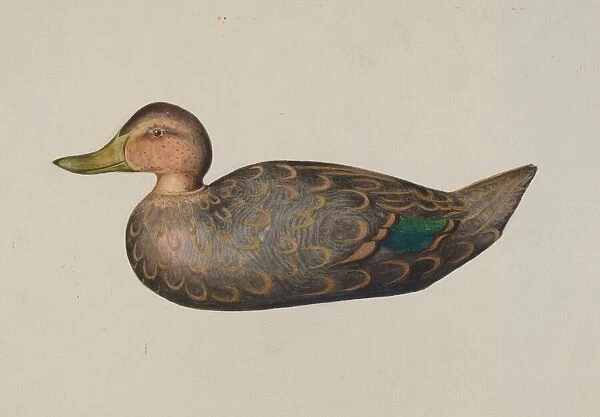Decoy Duck, 1935  /  1942. Creator: Harriette Gale