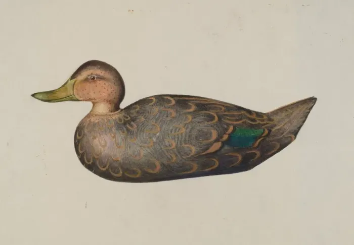 Framed Print : Decoy Duck, 1935 / 1942. Creator: Harriette Gale Framed Print : Decoy Duck, 1935 / 1942. Creator: Harriette Gale
