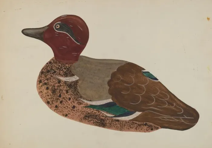 Framed Print : Decoy Duck, c. 1938. Creator: Rose Campbell-Gerke Framed Print : Decoy Duck, c. 1938. Creator: Rose Campbell-Gerke
