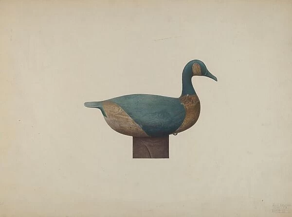 Decoy Duck, c. 1939. Creator: John Sullivan