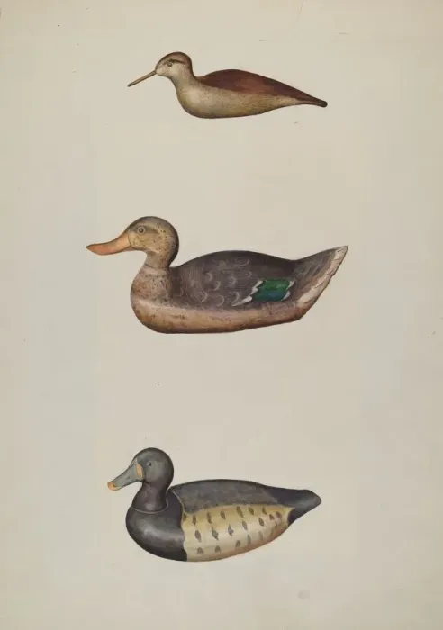 Framed Print : Three Decoy Ducks, c. 1937. Creator: Harriette Gale Framed Print : Three Decoy Ducks, c. 1937. Creator: Harriette Gale
