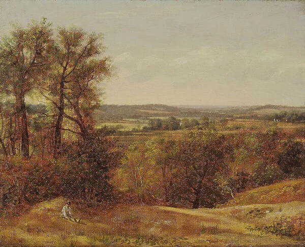 Dedham Vale, 1802. Creator: John Constable