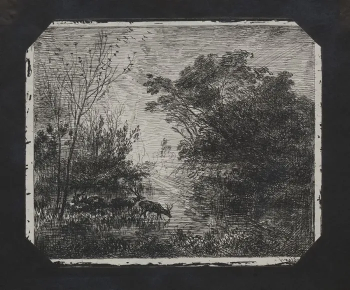 Framed Print : The Deer, 1862. Creator: Charles Francois Daubigny (French, 1817-1878) Framed Print : The Deer, 1862. Creator: Charles Francois Daubigny (French, 1817-1878)