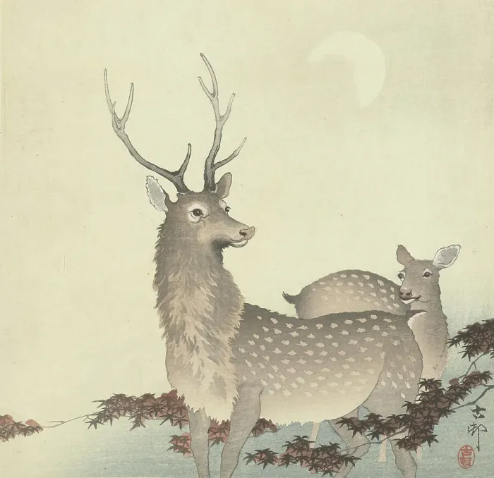 Framed Print : Two Deer, Between 1910 and 1920. Creator: Ohara, Koson (1877-1945) Framed Print : Two Deer, Between 1910 and 1920. Creator: Ohara, Koson (1877-1945)