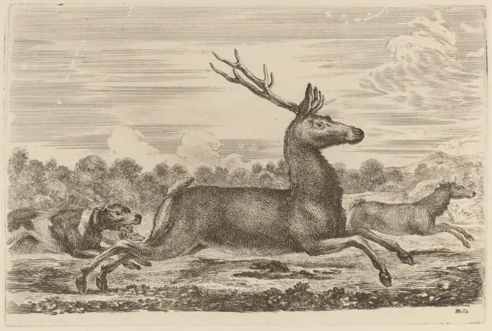 Framed Print : Deer Chased by Two Dogs to the Left. Creator: Stefano della Bella Framed Print : Deer Chased by Two Dogs to the Left. Creator: Stefano della Bella