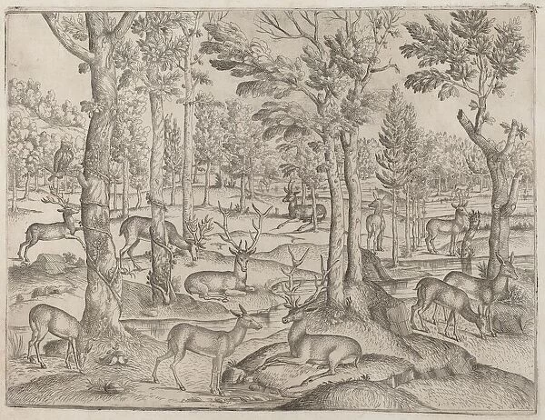 Deer in the Forest, c. 1520. Creator: Unknown