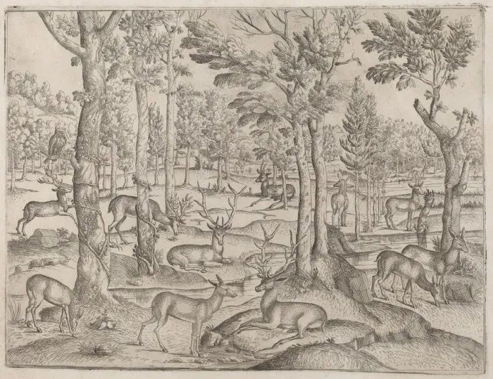 Framed Print : Deer in the Forest, c. 1520. Creator: Unknown Framed Print : Deer in the Forest, c. 1520. Creator: Unknown