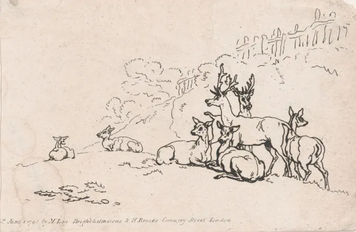 Framed Print : Deer (from Plate 3, Outlines of Figures, Landscapes and Cattle... for the Use of Le