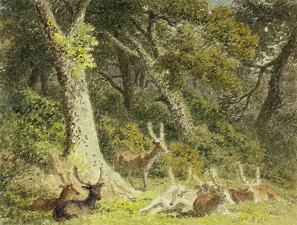 Deer Herd Resting, 1789-1844. Creator: Robert Hills