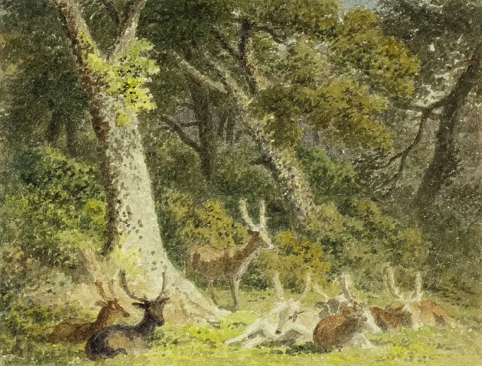 Framed Print : Deer Herd Resting, 1789-1844. Creator: Robert Hills Framed Print : Deer Herd Resting, 1789-1844. Creator: Robert Hills