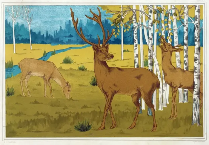Framed Print : Deer, from L Animal dans la Decoration, pub. 1897. Creator: Maurice Pillard Verneuil Framed Print : Deer, from L Animal dans la Decoration, pub. 1897. Creator: Maurice Pillard Verneuil