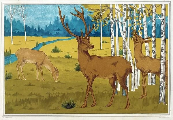 Deer, from L Animal dans la Decoration, pub. 1897. Creator: Maurice Pillard Verneuil