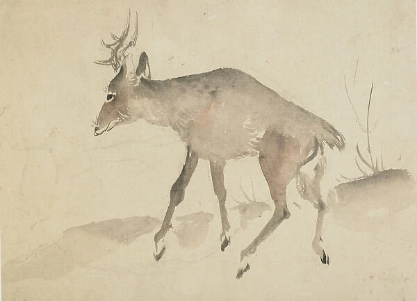 Deer, late 18th-early 19th century. Creator: Hokusai