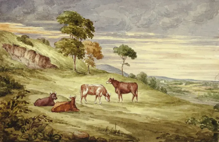 Framed Print : Deer Park, possibly Kilkenny, 1843. Creator: Elizabeth Murray Framed Print : Deer Park, possibly Kilkenny, 1843. Creator: Elizabeth Murray