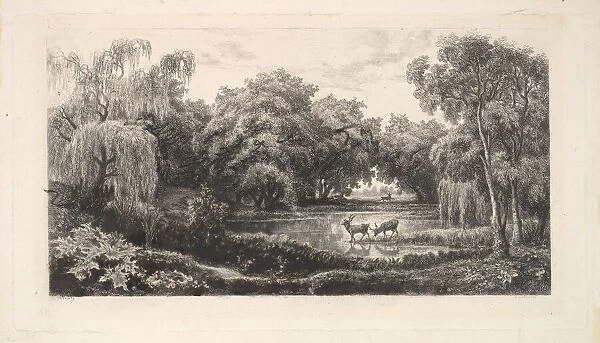 The Deer Pond, 1837-78. Creator: Charles Francois Daubigny