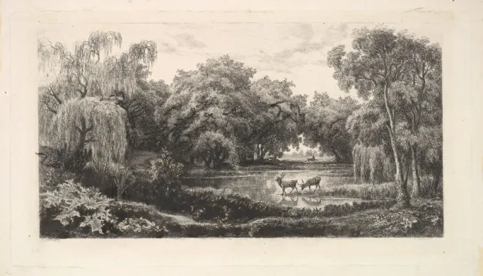 Framed Print : The Deer Pond, 1837-78. Creator: Charles Francois Daubigny Framed Print : The Deer Pond, 1837-78. Creator: Charles Francois Daubigny