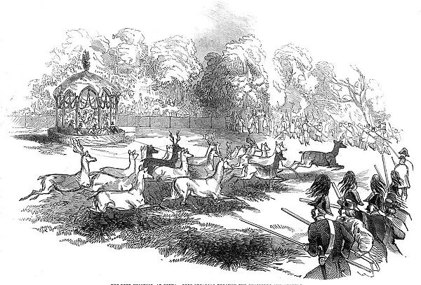 The Deer Shooting at Gotha - deer breaking through the chasseurs and keepers, 1845