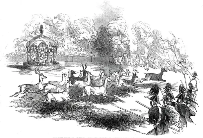 Framed Print : The Deer Shooting at Gotha - deer breaking through the chasseurs and keepers, 1845 Framed Print : The Deer Shooting at Gotha - deer breaking through the chasseurs and keepers, 1845