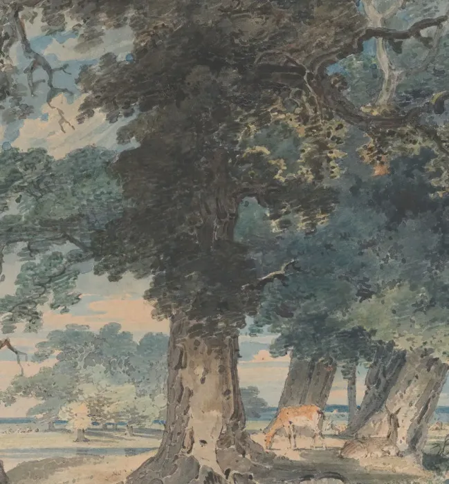 Framed Print : Deer in Windsor Forest, 1793-94. Creator: Thomas Girtin Framed Print : Deer in Windsor Forest, 1793-94. Creator: Thomas Girtin