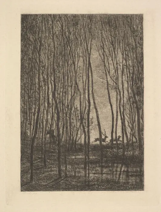 Framed Print : Deer in the Woods, 1850. Creator: Charles Francois Daubigny Framed Print : Deer in the Woods, 1850. Creator: Charles Francois Daubigny