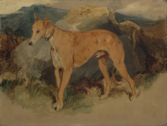 Framed Print : A Deerhound, 1826. Creator: Edwin Henry Landseer Framed Print : A Deerhound, 1826. Creator: Edwin Henry Landseer