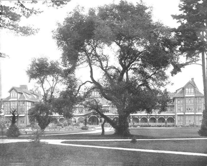 Framed Print : Del Monte, Monterey, California, USA, c1900. Creator: Unknown Framed Print : Del Monte, Monterey, California, USA, c1900. Creator: Unknown