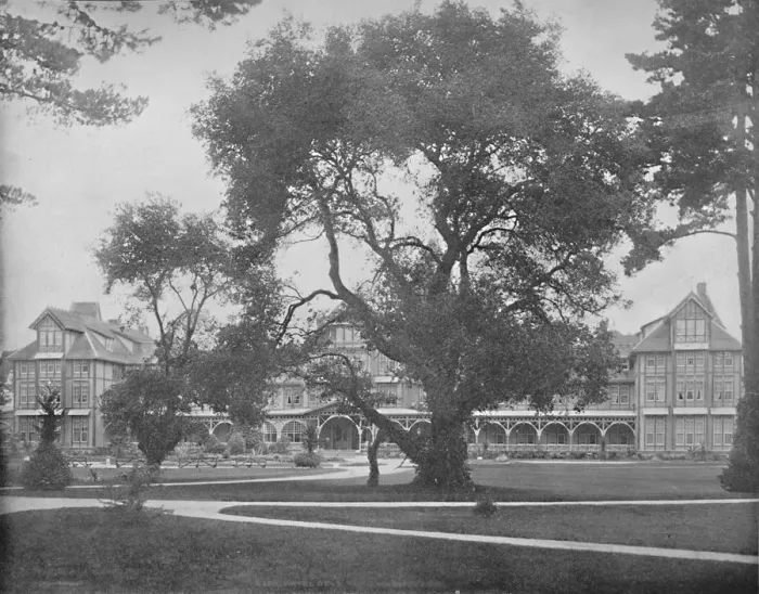Framed Print : Del Monte, Monterey, California, c1897. Creator: Unknown Framed Print : Del Monte, Monterey, California, c1897. Creator: Unknown