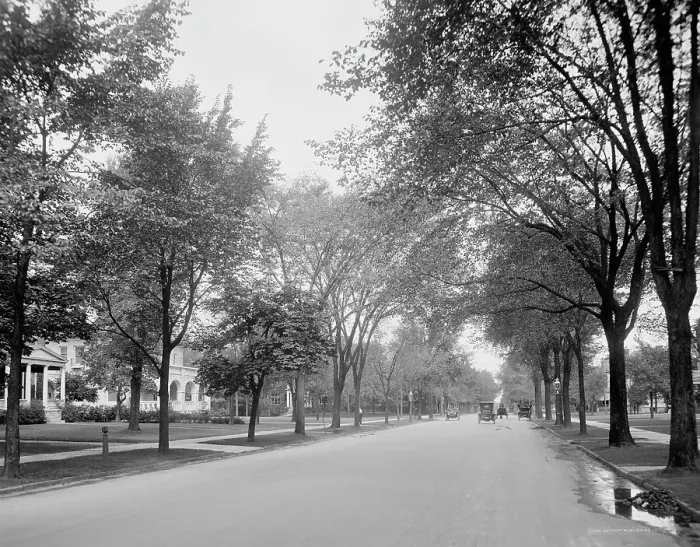 Framed Print : Delaware Avenue, Buffalo, N.Y. c.between 1910 and 1920. Creator: Unknown Framed Print : Delaware Avenue, Buffalo, N.Y. c.between 1910 and 1920. Creator: Unknown