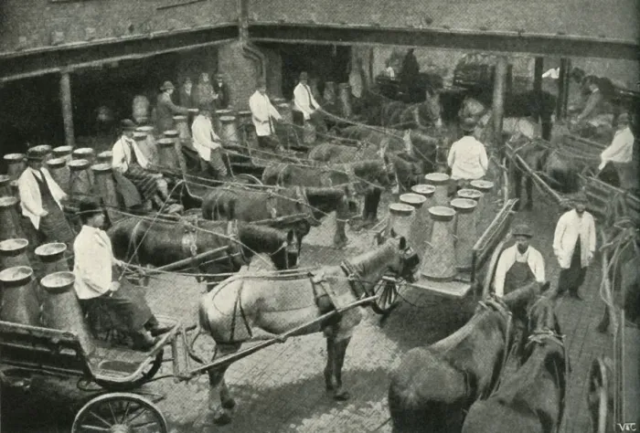Framed Print : Delivery Vans Starting from Messrs, Freeth and Pococks Central Depot at Vauxhall, 1902 Framed Print : Delivery Vans Starting from Messrs, Freeth and Pococks Central Depot at Vauxhall, 1902