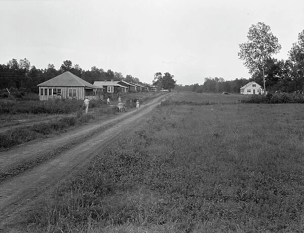 Delta cooperative farms in 1938, Hillhouse, Mississippi, 1938. Creator: Dorothea Lange
