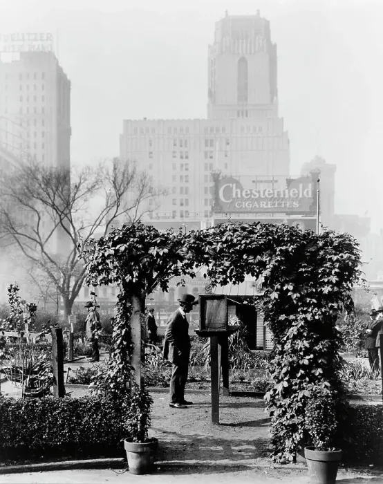Framed Print : Demonstration garden, Bryant Park, 42nd Street and Fifth Avenue, New York, New York, 1918. Creator: Frances Benjamin Johnston Framed Print : Demonstration garden, Bryant Park, 42nd Street and Fifth Avenue, New York, New York, 1918. Creator: Frances Benjamin Johnston