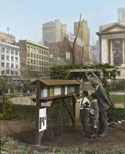 Demonstration garden, Bryant Park, 42nd Street and Fifth Avenue, New York, New York. 1918. Creator: Frances Benjamin Johnston