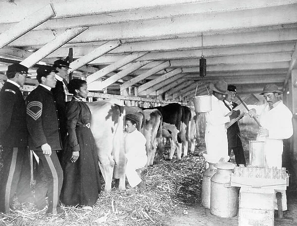 Demonstration of milk testing in stable, at Hampton Institute, Hampton, Virginia, 1899 and 1900. Creator: Frances Benjamin Johnston